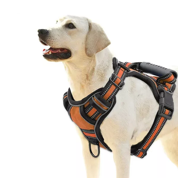 Reflective No-Pull Dog Harness With Handle | PrimDog.co.uk | Show your ...