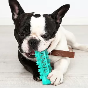 dog chewing toy, puppy teething toys, dog toothbrush toys, dog toys for aggressive chewers, dog teething toys