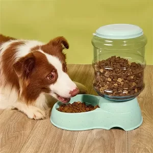 automatic feeder, dog feeder, dog feeding bowl