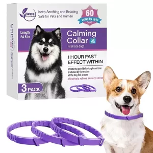 dog calming collar, pheromone dog collar, calming collar