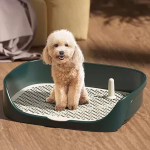 dog litter box, dog toilet, dog potty, dog potty tray