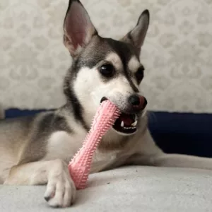 Received Tooth Cleaning Chew Toy for Dog from customer T***e.