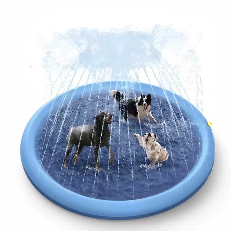 dog splash pad