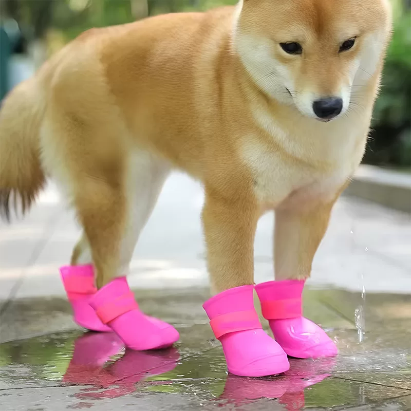 dog shoes, dog boots, dog rainboots, dog waterproof boots, dog rubber boots, non slip dog boots