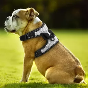 dog harness, dog harness vest, reflective dog harness, bling dog harness, rhinestone dog harness