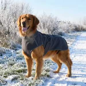 waterproof dog jacket, cotton dog jacket, reflective dog jacket, waterproof dog coat