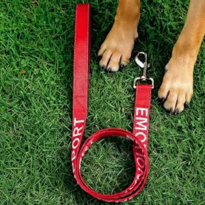 red dog leash