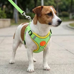 dog harness, dog harness leash set, dog vest harness, dog harness leash,